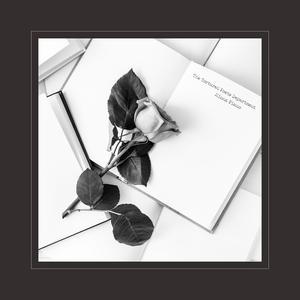 把杨幂的腿抬起来❌
